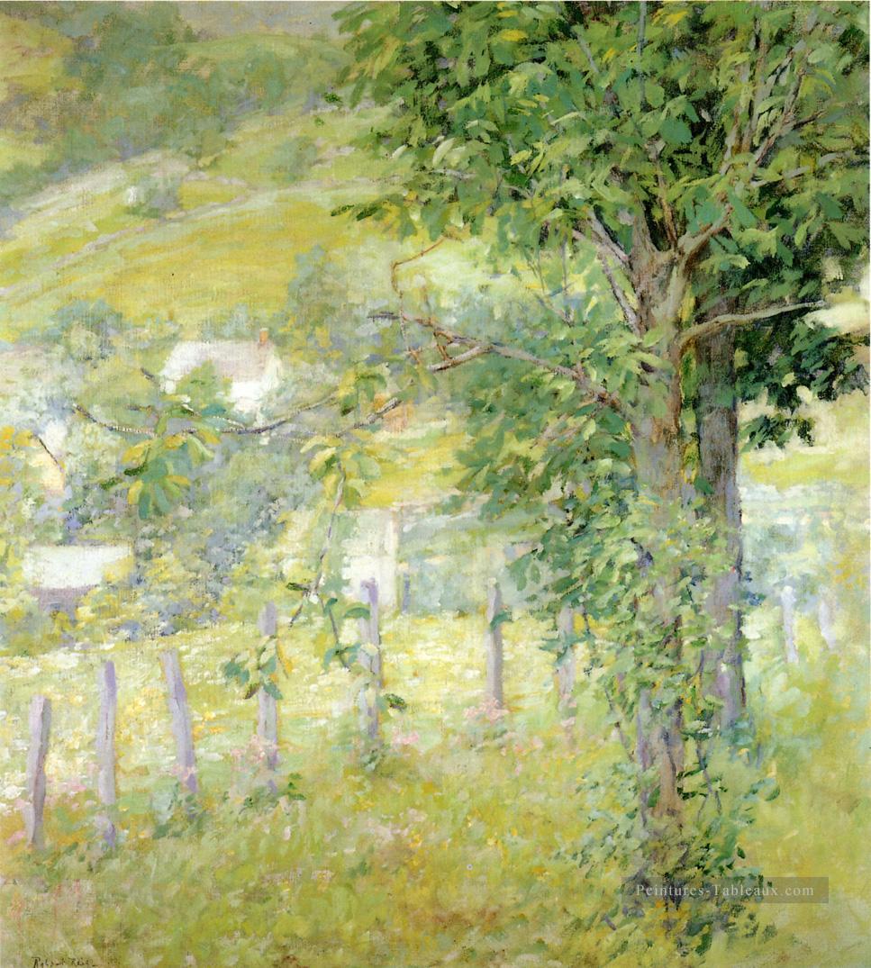 Hillside en été impressionnisme paysage Robert Reid Forêt Peintures à l'huile
